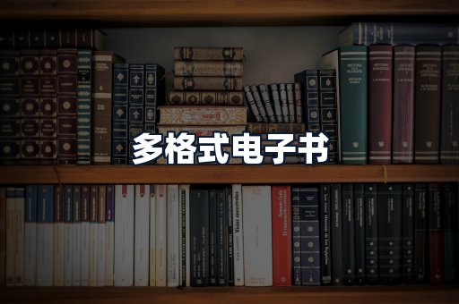 多格式电子书